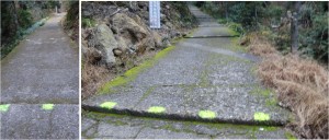 02.八丁　施福寺周辺20151229 (22)