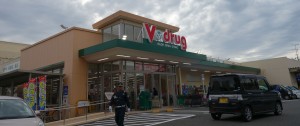 Vdrug寺内店20160130 (1)