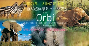□パース　Orbiオープン告知