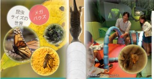 □パース　エキシビジョン-6