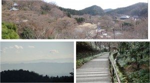 ●風景　勝尾寺20151228