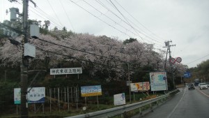 ■20110409神武東征上陸地