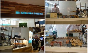 ●ミカワフォレスト20160213ネオパーサ岡崎