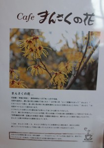 20160130まんさくの花(豊田市) (4)