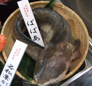 20070308リョーショクチルド展示会・鮮魚・ばばあ-1