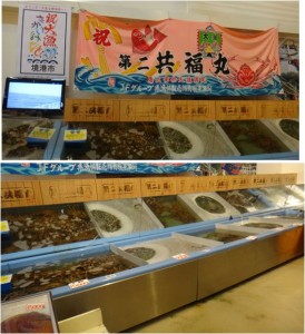 ■店内活ズワイガニ2-2 0160122大漁市場なかうら (4)
