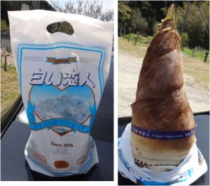 ★生たけのこ-220160411まごころ市場(豊田市則定) (11)