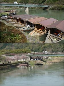 ●鵜飼い20160408錦帯橋