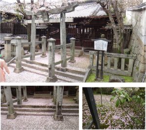 ●04幸神社　宮島20160408