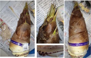 ★生たけのこ20160411まごころ市場(豊田市則定) (11)