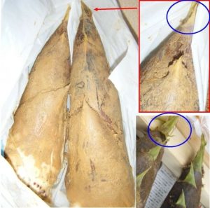 ●20090425購入商品・たけのこまとめ