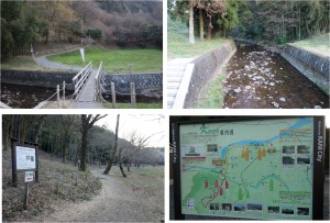 ■カタクリ群生地へ向かう　可児川下流域自然公園(岐阜県可児市)20160326 (44)