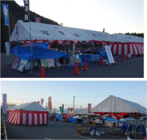 ◆テント　カタクリ群生地可児川下流域自然公園(岐阜県可児市)20160326 (3)