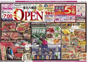 %e3%83%9e%e3%83%83%e3%82%af%e3%82%b9%e3%83%90%e3%83%aa%e3%83%a5%e8%b1%8a%e5%b7%9d%e5%85%ab%e5%b9%a1%e3%83%81%e3%83%a9%e3%82%b7-1