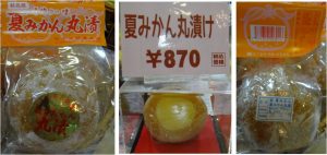 ★夏みかん丸漬け海鮮村 北長門20160409