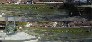 ◆川　津和野・殿町通り20160409 (33)