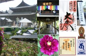 08●2009050108豊山　長谷寺