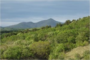 ◆山上から礼文岳　20160603久種湖の丘の上の風景 (24)