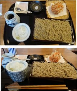 ★桜ｾｯﾄ昧怛隷野 マートレーヤ(岡崎市)20160626 (13)