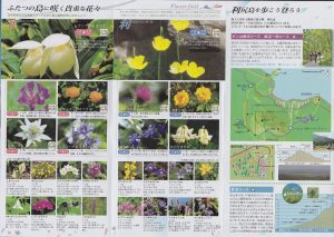 パンフ小サイズ　利尻・礼文島-3　花