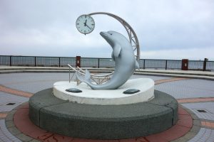 ノッシャプ岬(野寒布)20160604 (1)