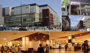 20100529koyo_kyoto1430