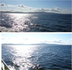 ◆礼文島の景色20160602 (2)