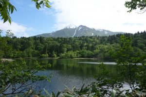 ●姫沼20160602 (52)