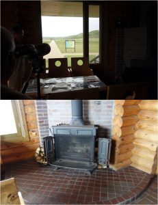 ◆大沼野鳥観察20160604 (4)