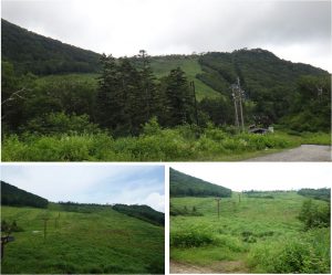◆栂の森ゲレンデ　栂池ロープウエーからの景色20160723 (15)