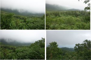 ◆浮島湿原方面展望湿原から下山中の景色20160723 (21)