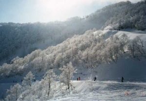 19890115白馬コルチナ国際・白馬乗鞍スキー場01