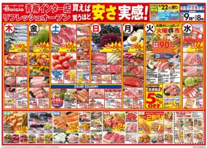 %e3%83%99%e3%82%a4%e3%82%b7%e3%82%a2%e9%9d%92%e6%a2%85%e3%82%a4%e3%83%b3%e3%82%bf%e3%83%bc%e5%ba%97%e3%83%81%e3%83%a9%e3%82%b7-1