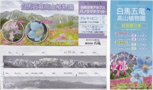 %e2%96%a1%e3%83%86%e3%83%ac%e3%82%ad%e3%83%a3%e3%83%93%e3%83%b3%e3%83%81%e3%82%b1%e3%83%83%e3%83%88%e3%80%80%e7%99%bd%e9%a6%ac%e4%ba%94%e7%ab%9c