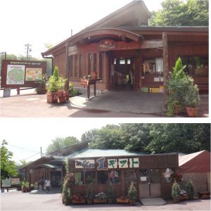 %e2%97%8f%e3%83%a2%e3%82%af%e3%83%a2%e3%82%af%e3%82%b7%e3%83%a7%e3%83%83%e3%83%9720160819-2