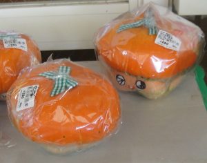 ○20090725JA紀の里めっけもん広場・6店外　ベレーなんきん001