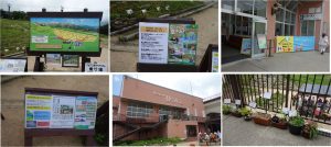 %e2%97%87%e7%99%bd%e9%a6%ac%e4%ba%94%e7%ab%9c%e3%82%a8%e3%82%b9%e3%82%ab%e3%83%ab%e3%83%97%e3%83%a9%e3%82%b6%ef%bd%9e%e3%83%86%e3%83%ac%e3%82%ad%e3%83%a3%e3%83%93%e3%83%b3%e3%81%ae%e9%a2%a8%e6%99%af20