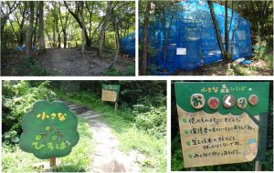 %e2%97%8f%e3%81%a1%e3%81%84%e3%81%95%e3%81%aa%e6%a3%ae%e5%ba%83%e5%a0%b4%e3%80%8020160819%e4%bc%8a%e8%b3%80%e3%81%ae%e9%87%8c%e3%83%a2%e3%82%af%e3%83%a2%e3%82%af%e6%89%8b%e3%81%a5%e3%81%8f%e3%82%8a