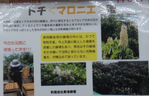 %e3%83%8f%e3%83%81%e3%83%9f%e3%83%84%e3%83%bb%e3%83%88%e3%83%81%e3%80%80%e5%95%86%e5%93%81%e6%a1%88%e5%86%85%e3%81%8a%e3%82%93%e3%81%95%e3%81%84%e5%ba%83%e5%a0%b4%e7%9c%9f%e6%ad%a320160910
