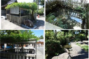 %e2%96%a1%e6%b0%b4%e3%81%a8%e9%ad%9a%e3%80%80%e6%97%a5%e5%90%89%e7%a5%9e%e7%a4%be%ef%bc%88%e7%a5%9e%e6%88%b8%e7%94%ba%ef%bc%8920160910-54