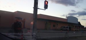 %e3%82%af%e3%82%b9%e3%83%aa%e3%81%ae%e3%82%a2%e3%82%aa%e3%82%ad%e4%b8%8b%e6%81%b5%e5%9c%9f%e5%ba%9720161023-3