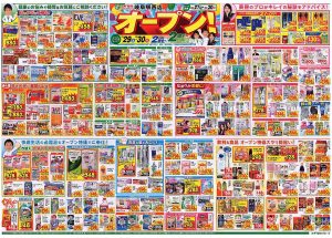 %e3%83%81%e3%83%a9%e3%82%b7-2%e3%80%80%e3%82%b9%e3%82%ae%e8%96%ac%e5%b1%80%e5%b2%90%e9%98%9c%e9%a7%85%e8%a5%bf%e5%ba%971027