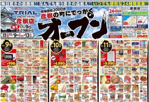 %e3%83%88%e3%83%a9%e3%82%a4%e3%82%a2%e3%83%ab%e5%bd%a6%e6%a0%b9%e5%ba%97%e3%83%81%e3%83%a9%e3%82%b7-1