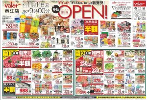 %e3%83%90%e3%83%ad%e3%83%bc%e6%98%a5%e6%b1%9f%e3%83%81%e3%83%a9%e3%82%b7-2