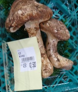 %e6%9d%be%e8%8c%b8%e5%b2%90%e9%98%9c%e7%9c%8c%e7%94%a3