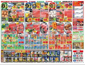 %e4%b8%89%e5%92%8c%e4%b8%8a%e9%b6%b4%e9%96%93%e3%83%81%e3%83%a9%e3%82%b7-2